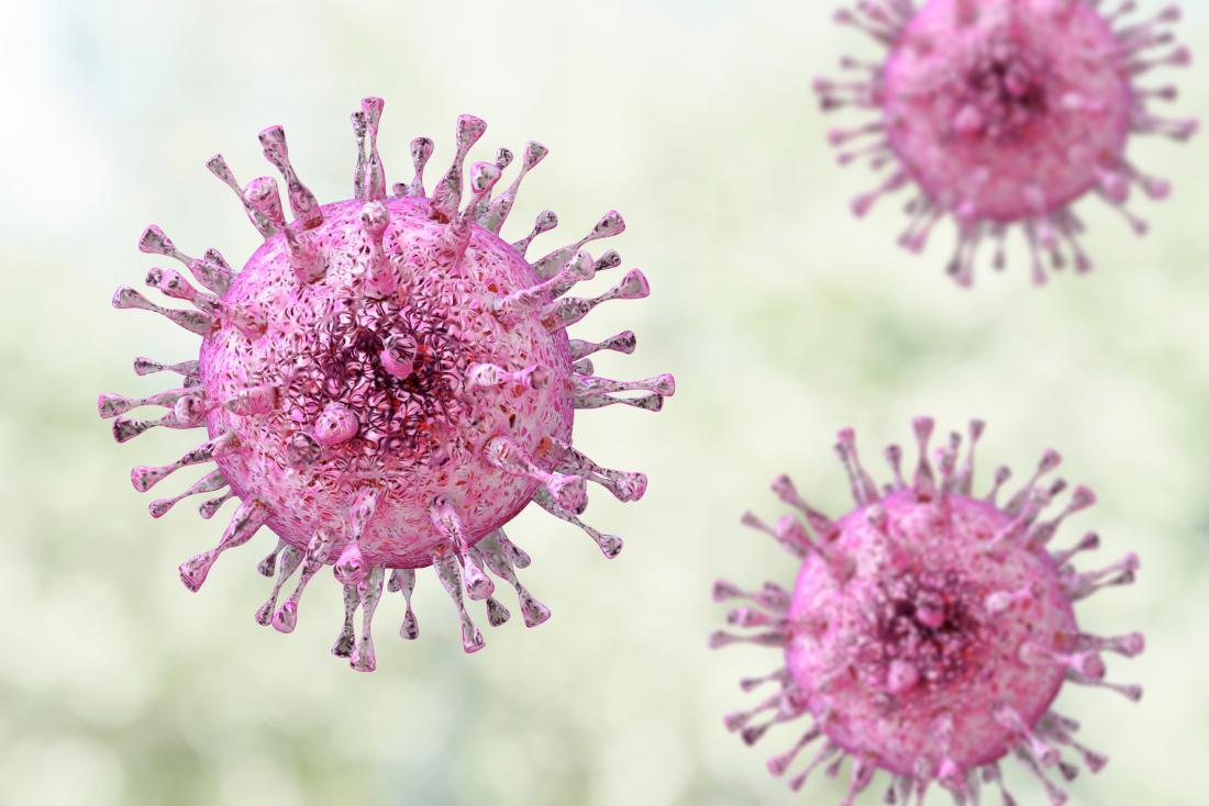herpes-virus-1 herpes visrus