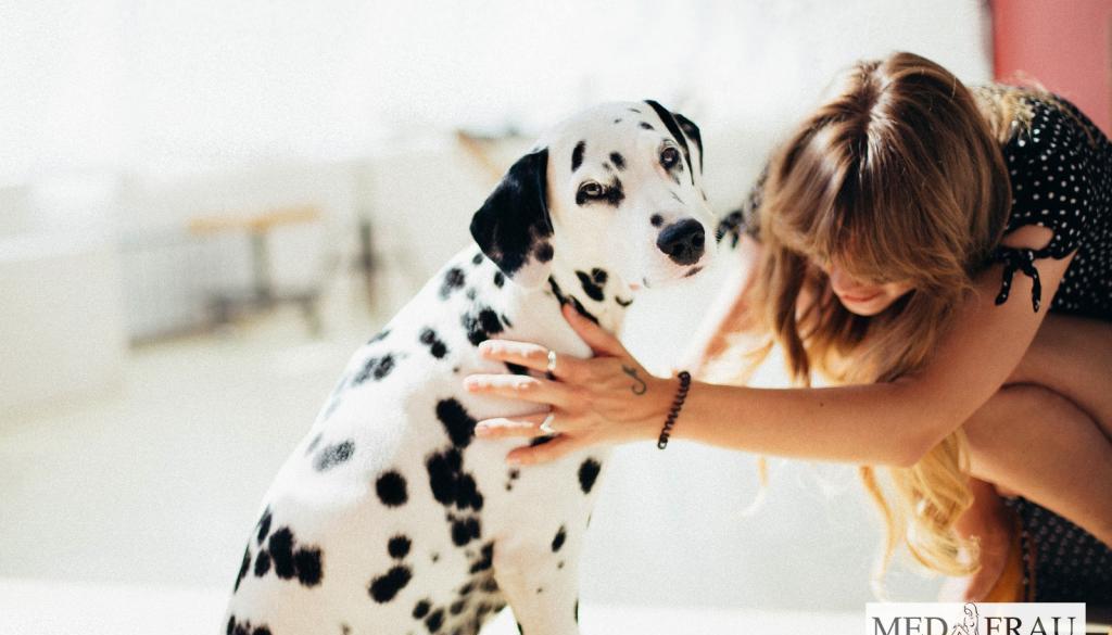 Doxycyclin für Hunde