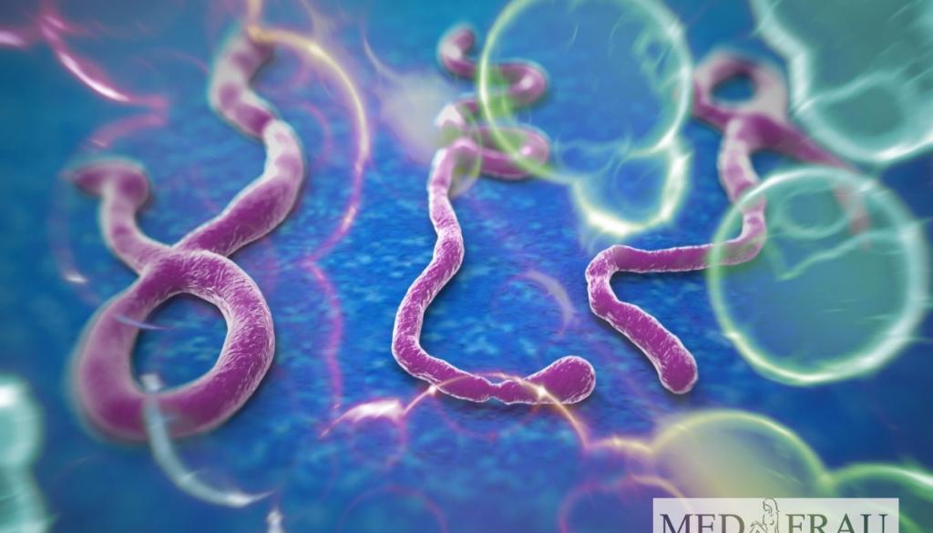 sexuell übertragbare Infektionen