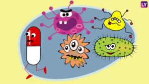 Antibiotika und der Immunantwort 
