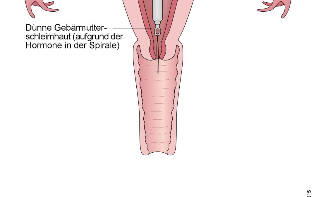 Einfluss oraler Kontrazeptiva auf die Nierenfunktion
